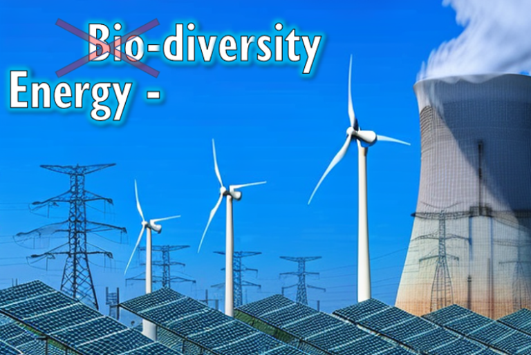 energydiversity 6